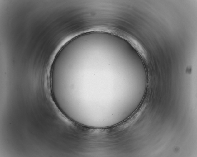 X0000102830808200808181047