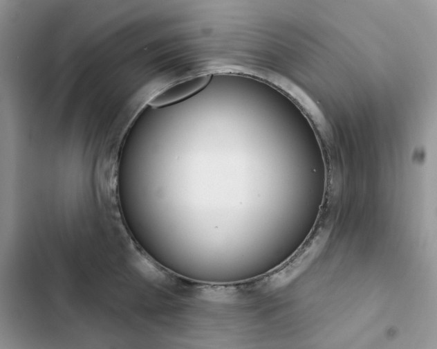 X0000102830809200808181047