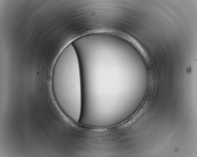 X0000102830810200808181047