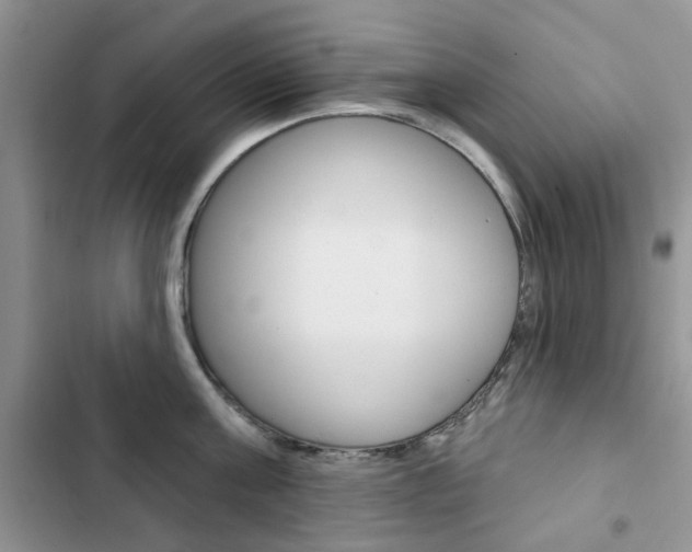 X0000102830811200808181047