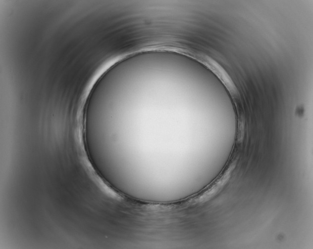X0000102830812200808181047