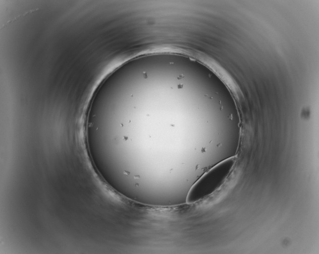 X0000102830813200808181047