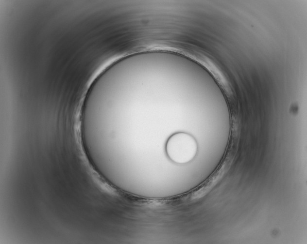 X0000102830814200808181047