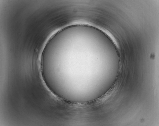 X0000102830815200808181047