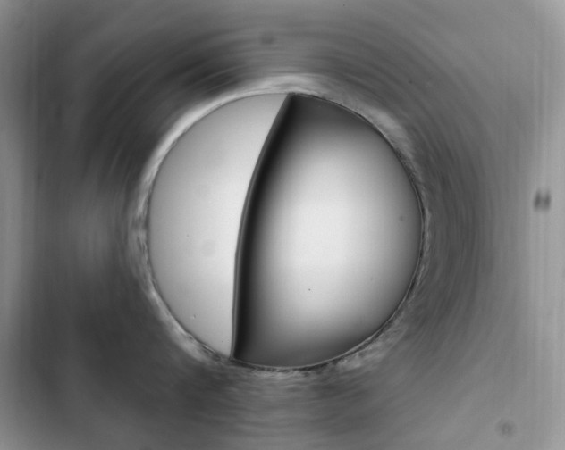 X0000102830816200808181047