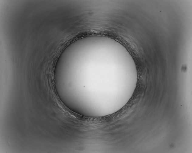 X0000102830817200808181047