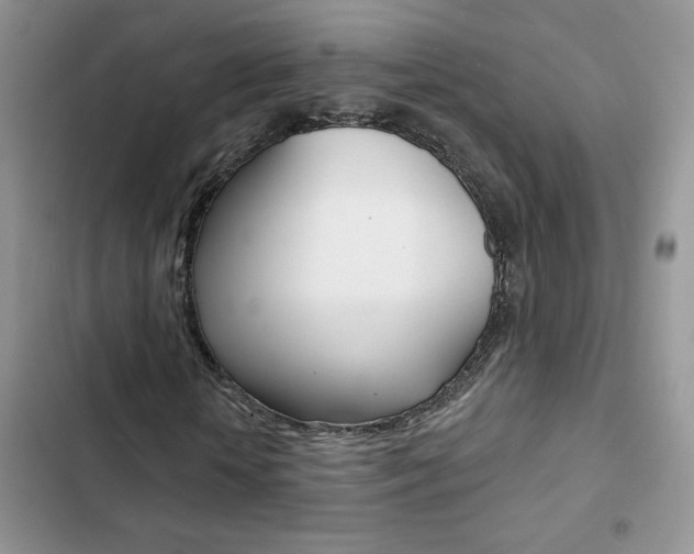 X0000102830818200808181047
