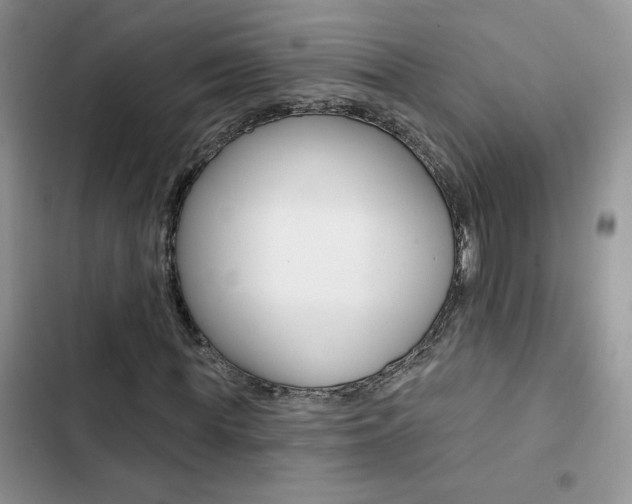 X0000102830819200808181047