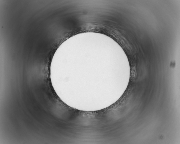 X0000102830820200808181047