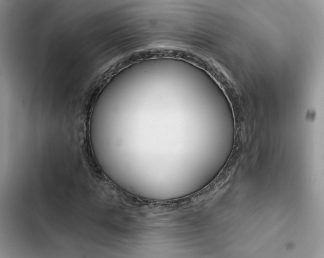 X0000102830821200808181047