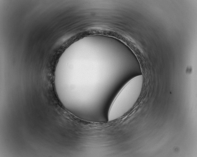 X0000102830822200808181047
