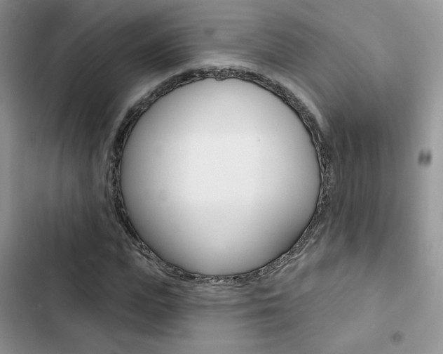 X0000102830823200808181047