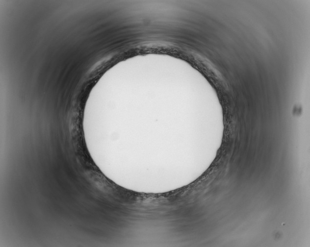 X0000102830824200808181047