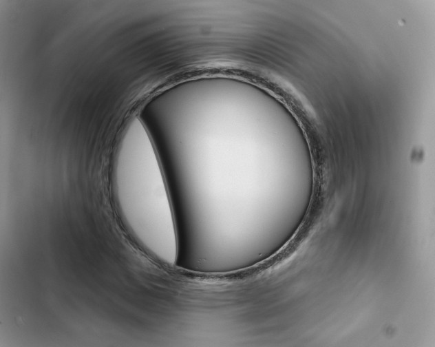 X0000102830825200808181047