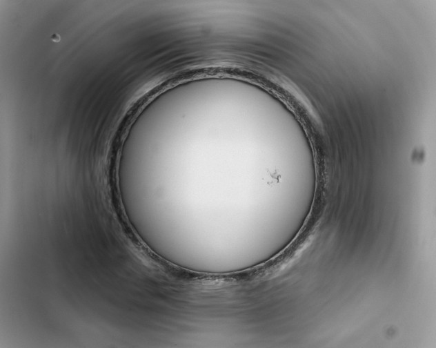 X0000102830826200808181047