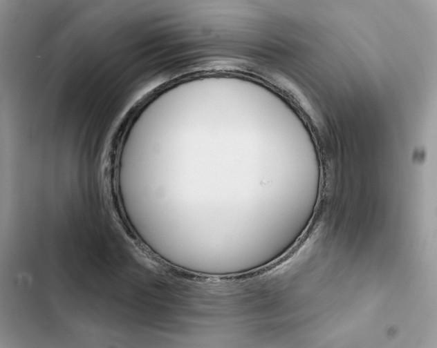 X0000102830827200808181047