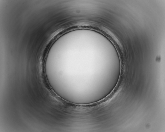 X0000102830829200808181047