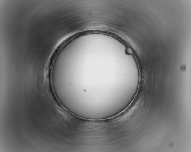 X0000102830830200808181047