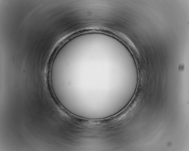 X0000102830831200808181047