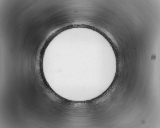 X0000102830832200808181047