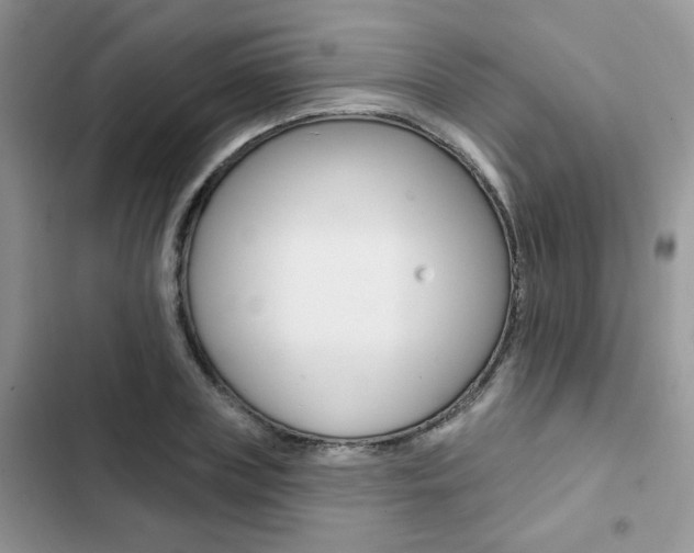 X0000102830835200808181047