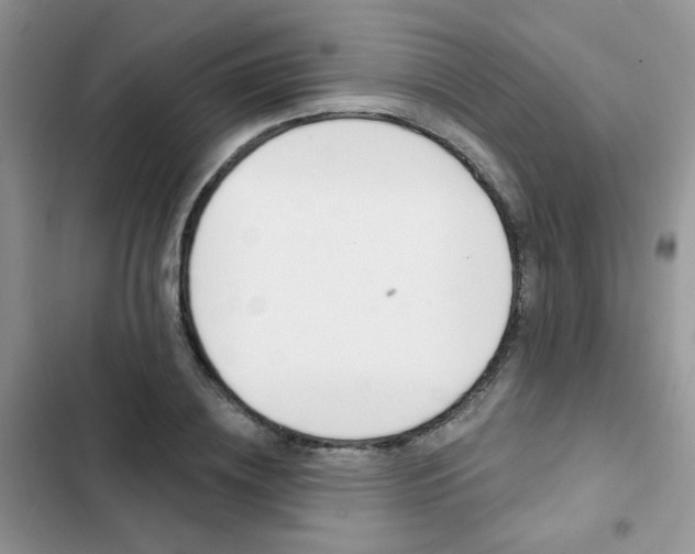 X0000102830836200808181047