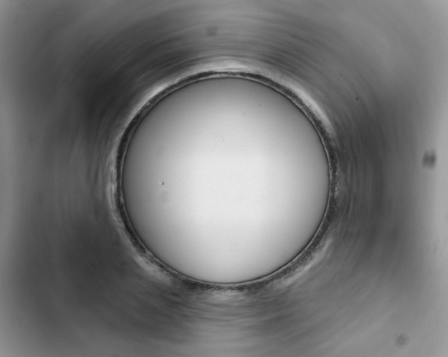 X0000102830837200808181047