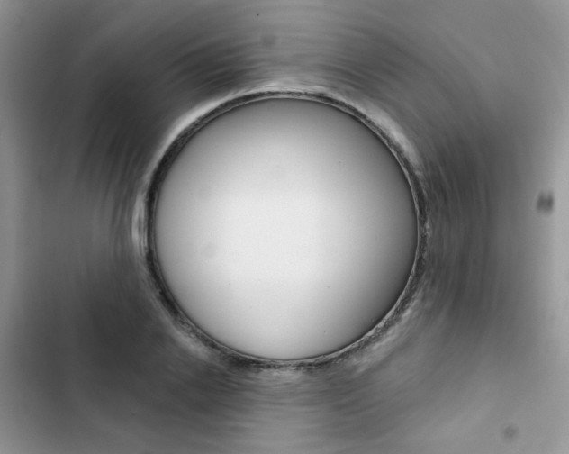 X0000102830838200808181047
