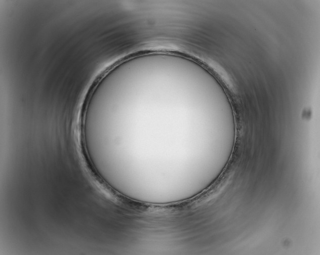 X0000102830840200808181047