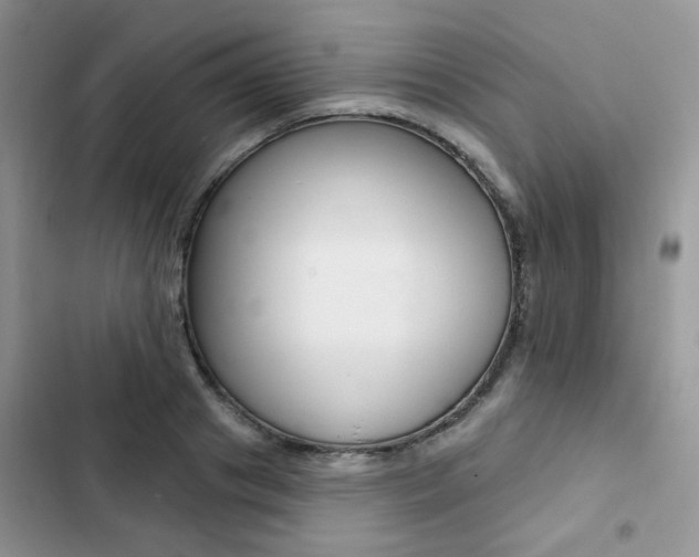 X0000102830841200808181047