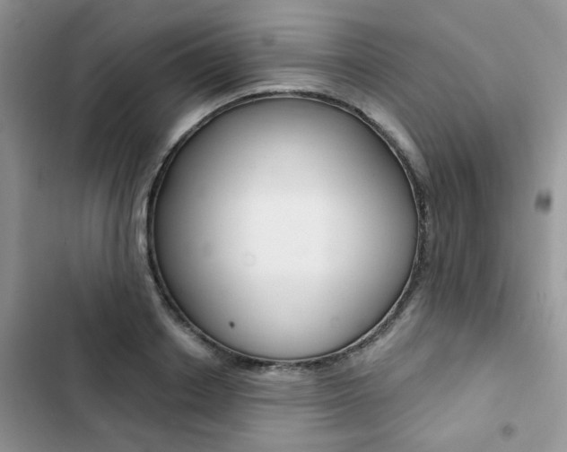 X0000102830842200808181047