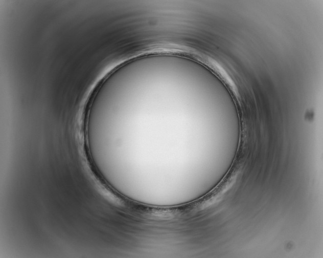 X0000102830843200808181047