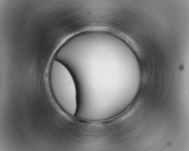 X0000102830844200808181047