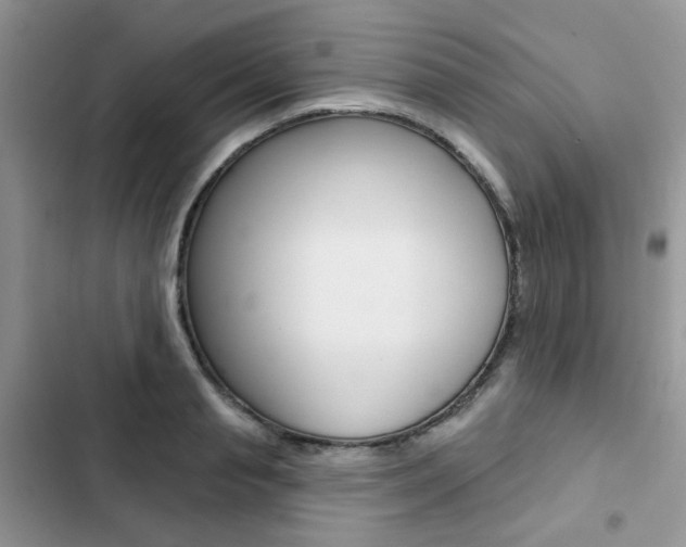 X0000102830845200808181047