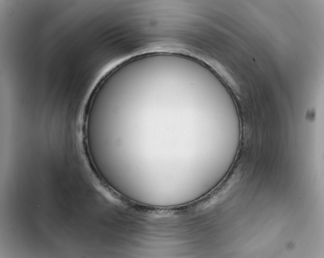 X0000102830846200808181047