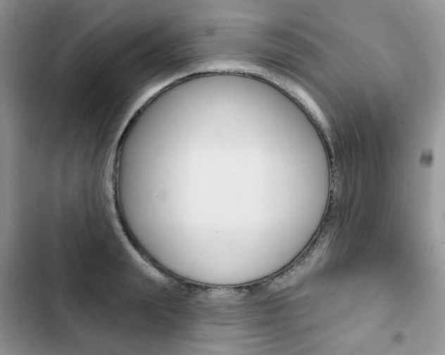 X0000102830847200808181047