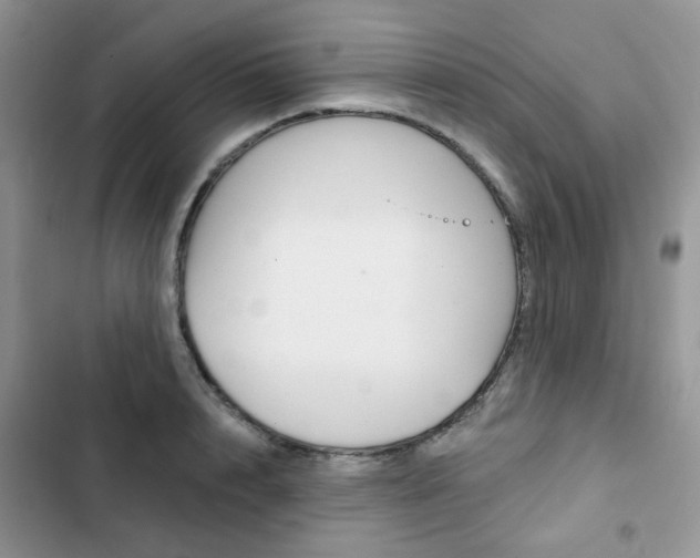 X0000102830848200808181047