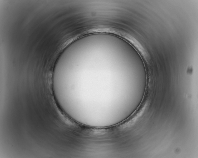 X0000102830849200808181047