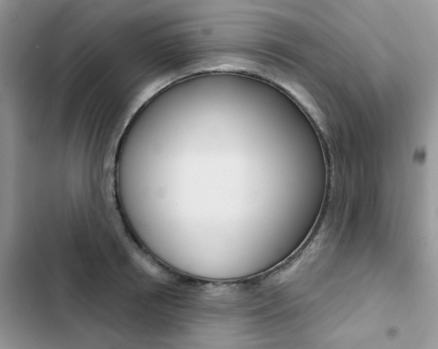X0000102830850200808181047