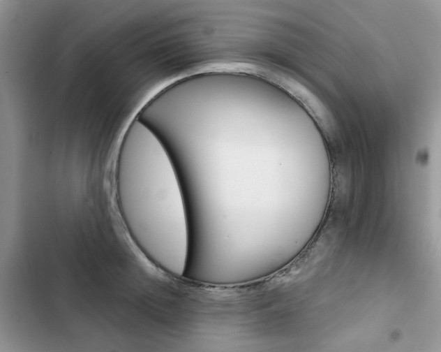 X0000102830852200808181047