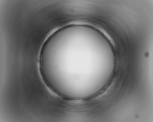X0000102830853200808181047
