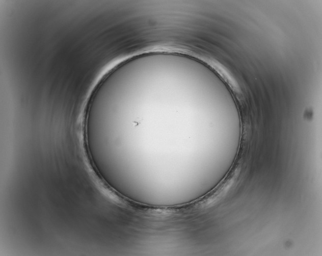 X0000102830854200808181047
