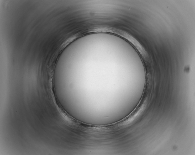 X0000102830857200808181047