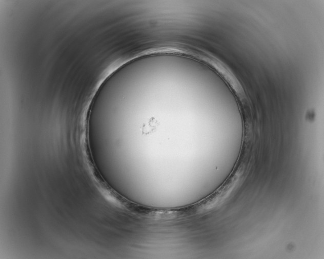 X0000102830858200808181047
