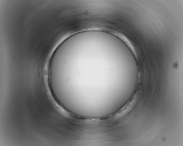 X0000102830859200808181047