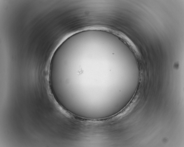 X0000102830860200808181047