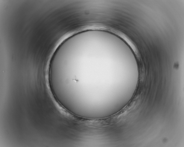 X0000102830861200808181047
