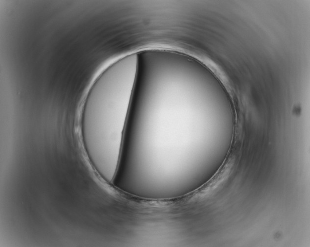 X0000102830862200808181047
