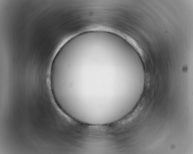 X0000102830863200808181047