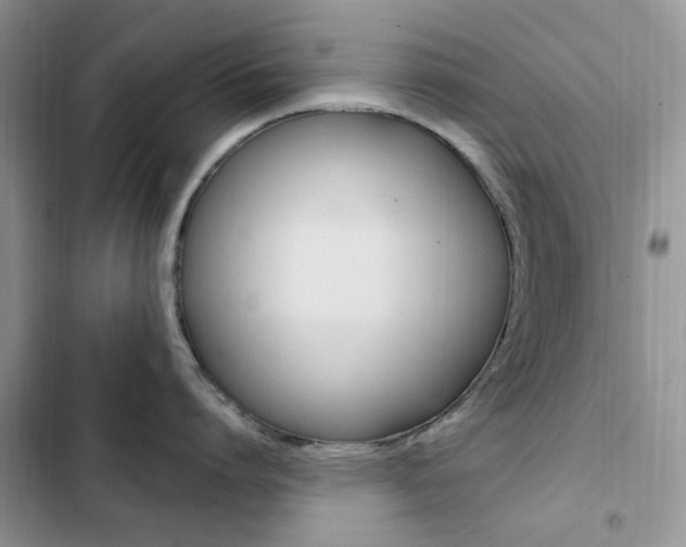 X0000102830864200808181047